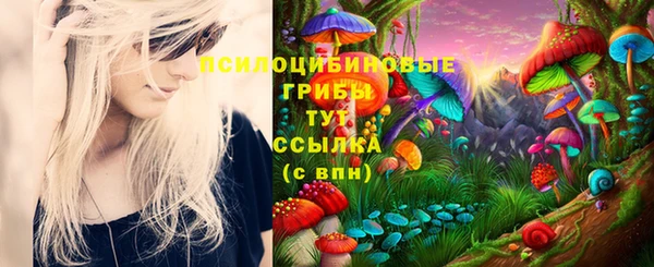 не бодяженный Пересвет
