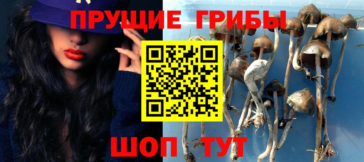 Вольск  Галлюциногенные грибы Psilocybine cubensis  цены наркотик  Вход с VPN  Псилоцибиновые грибы Cubensis 