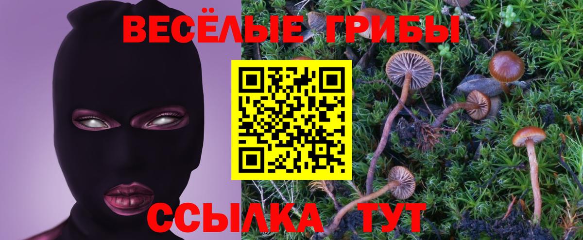 Галлюциногенные грибы прущие грибы Вольск